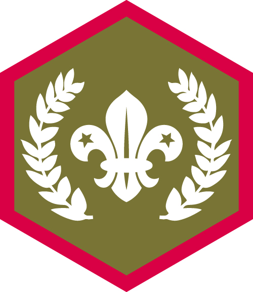 Chief Scouts gold badge