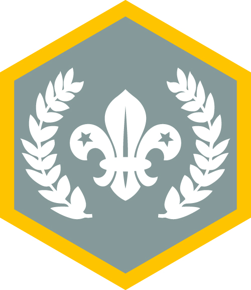 Chief Scouts silver badge